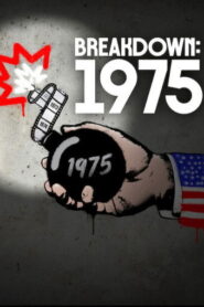 Breakdown: 1975 – 2025