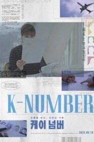 K-Number – 2025