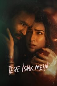 Tere Ishk Mein – 2025