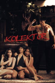 Kolektor – 2025