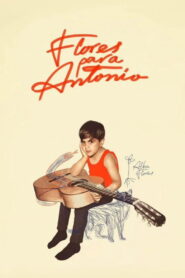 Flores para Antonio – 2025