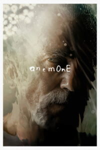 Anemone – 2025