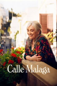 Calle Malaga – 2025