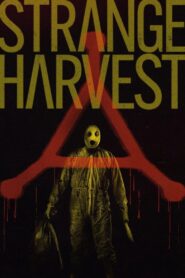 Strange Harvest – 2025