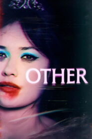 Other – 2025