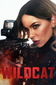 Wildcat – 2025