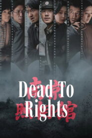 Dead to Rights – 2025