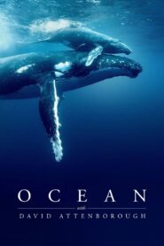 Ocean with David Attenborough – 2025
