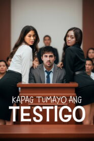 Testimony of the Witness – 2025