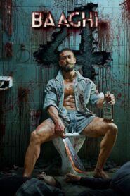 Baaghi 4 – 2025