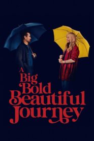 A Big Bold Beautiful Journey – 2025
