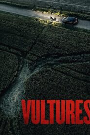 Vultures – 2025