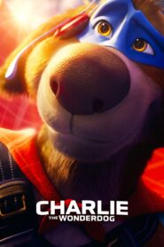 Charlie the Wonderdog – 2025