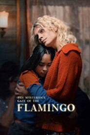 The Mysterious Gaze of the Flamingo – 2025