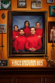 A Nice Indian Boy – 2025